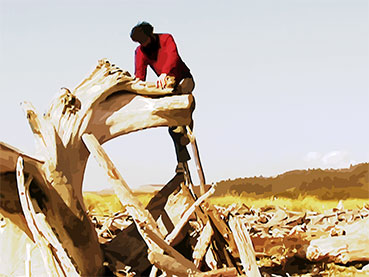 Michael climbing on the driftwood tree